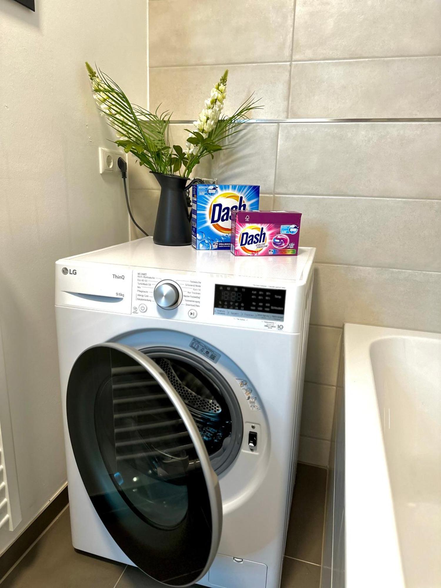Oasis Appart - Wohnen Im Koenigspark - Elbhang Dresden - Grosse Terrasse - Netflix - Tg Eksteriør billede
